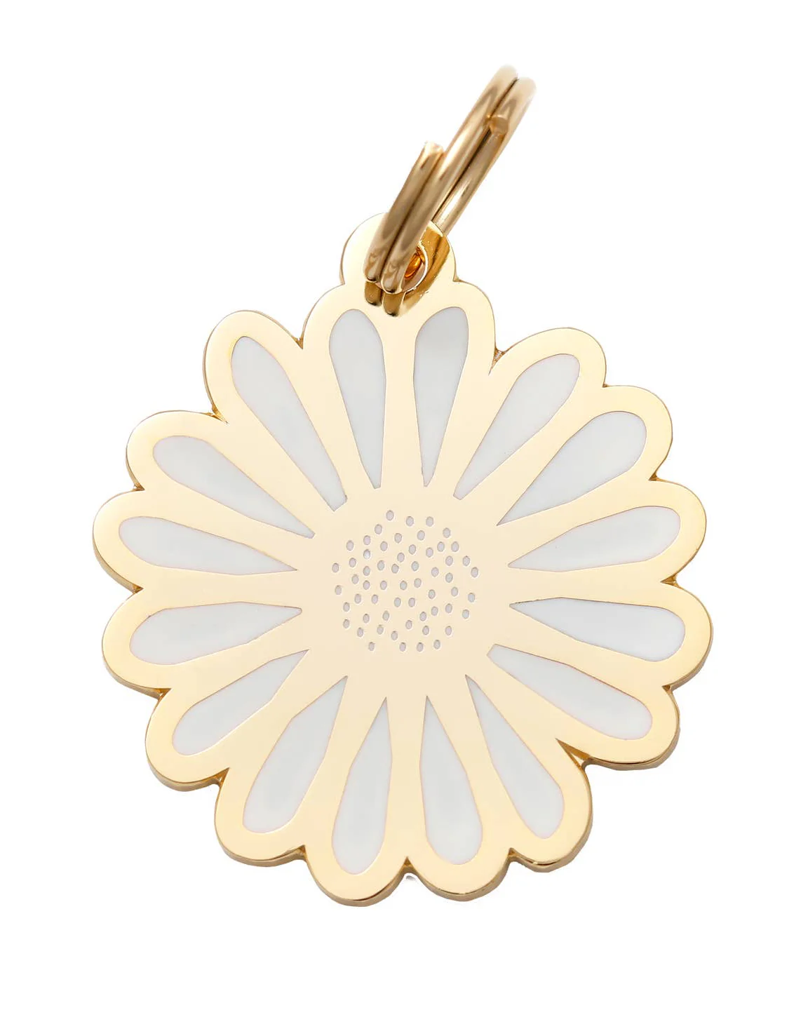 New for Spring